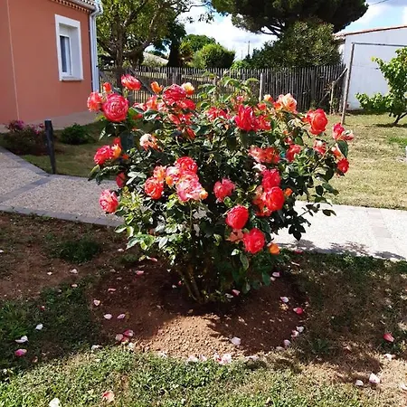 Nyaraló Independant A 10min Des Plages Au Calme Proche O'gliss Et O'funparken Campagne
