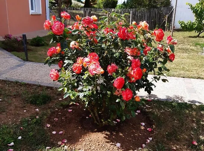 別荘 Independant A 10min Des Plages Au Calme Proche O'gliss Et O'funparken Campagne